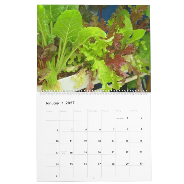 Calendario de la piscina de 2013 jardines - grande (Jan 2027)
