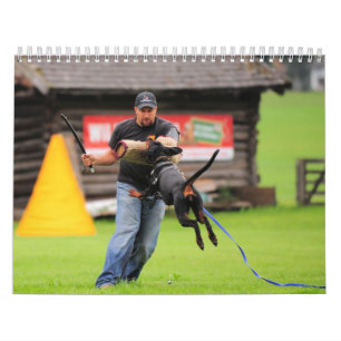 Calendario de la protección del Doberman