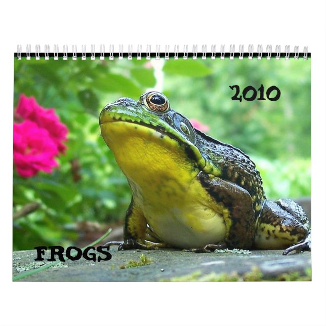 Calendario de la rana (Tapa)