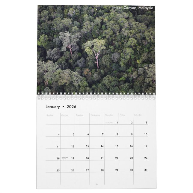 Calendario de la selva tropical de Borneo (Jan 2026)