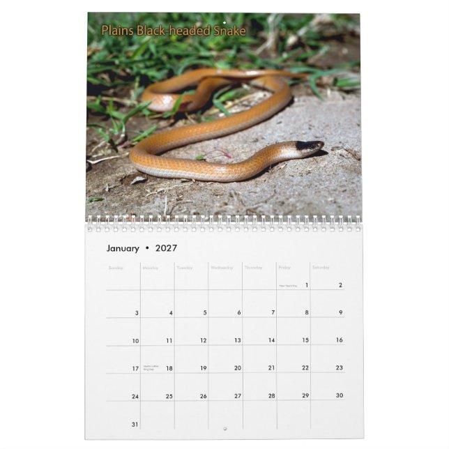 Calendario de la serpiente (Jan 2027)