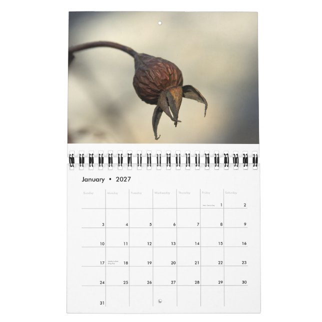 Calendario De la tierra abundante (Jan 2027)