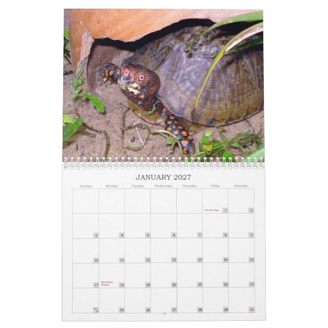 Calendario de la tortuga de caja de Tejas (Jan 2027)