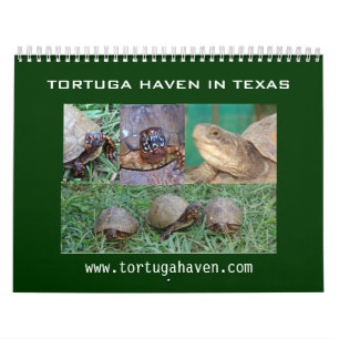 Calendario de la tortuga de caja de Tejas