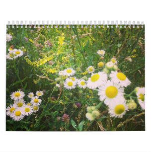 Calendario de la vida en el campo