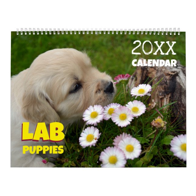Calendario de Lab Puppies Labrador Retriever Wall  (Tapa)