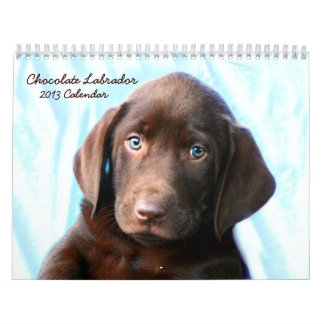 Calendario de laboratorio de chocolate