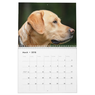 Calendario de Labrador