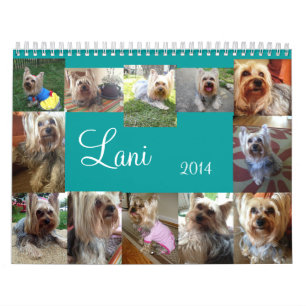 Calendario de Lanis 2014
