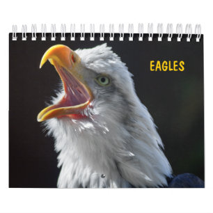 Calendario de las Águilas