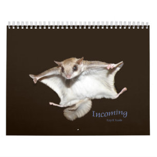 Calendario de las ardillas de vuelo