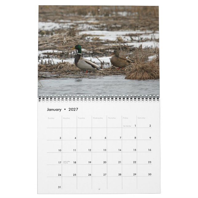 Calendario de las aves acuáticas 2011 (Jan 2027)