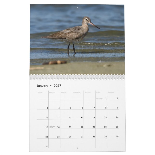 Calendario de las aves costeras (Jan 2027)