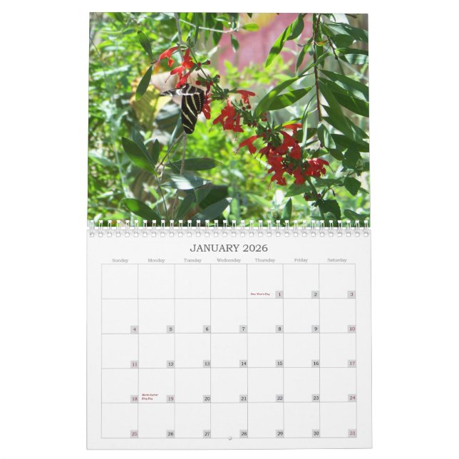 Calendario de las floraciones y de las mariposas (Jan 2026)