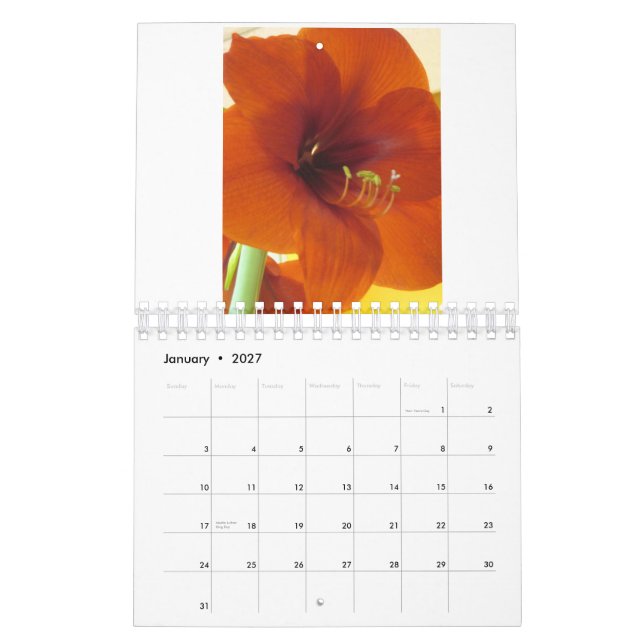 Calendario de las flores 2013 (Jan 2027)