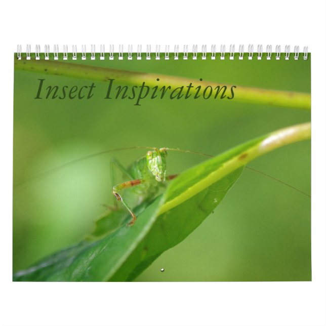 Calendario de las inspiraciones del insecto (Tapa)