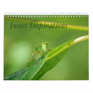 Calendario de las inspiraciones del insecto