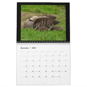 Calendario de las joyas de Hawaii 2021