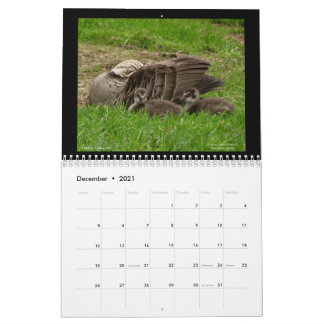 Calendario de las joyas de Hawaii 2021