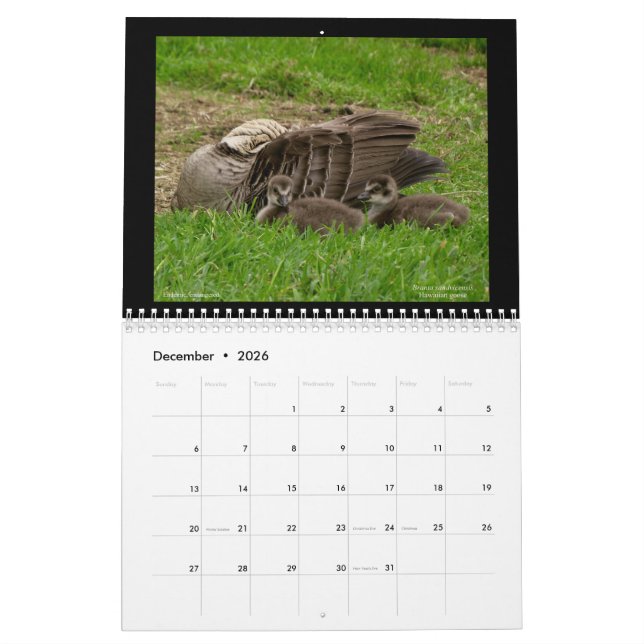 Calendario de las joyas de Hawaii 2021 (Dec 2026)