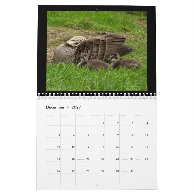 Calendario de las joyas de Hawaii 2021 (Dec 2027)