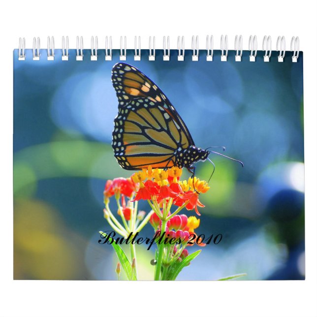 Calendario de las mariposas 2010 (Tapa)