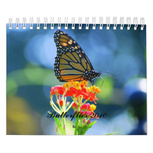 Calendario de las mariposas 2010