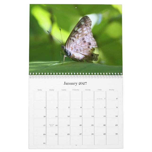 Calendario de las mariposas 2011 (Jan 2027)