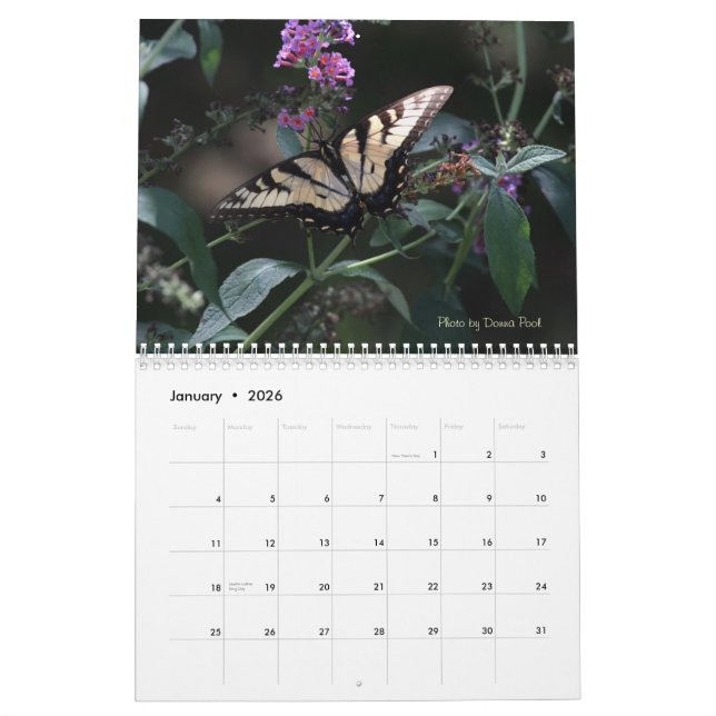 Calendario de las mariposas de Swallowtail (Jan 2026)