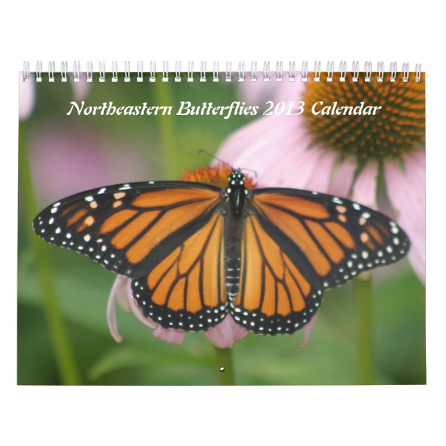 Calendario de las mariposas nororientales 2013 (Tapa)