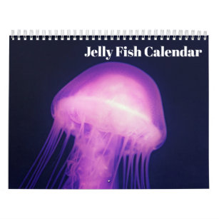 Calendario de las medusas de 2024