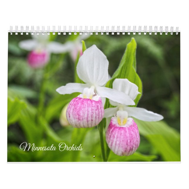Calendario de las orquídeas de Minnesota (Tapa)