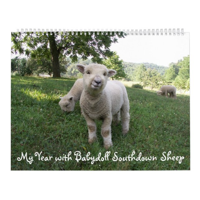 Calendario de las ovejas del sur de Babydoll (Tapa)