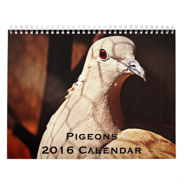 Calendario de las palomas 2016 (Tapa)