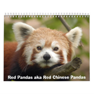 Calendario de las pandas rojas