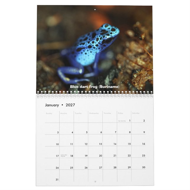 Calendario de las ranas del dardo del veneno (Jan 2027)