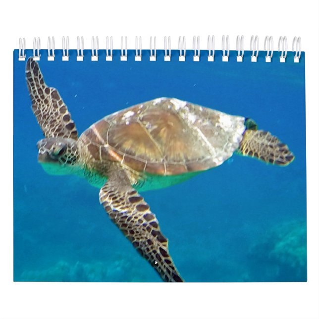 Calendario de las tortugas de Hawaii (Tapa)