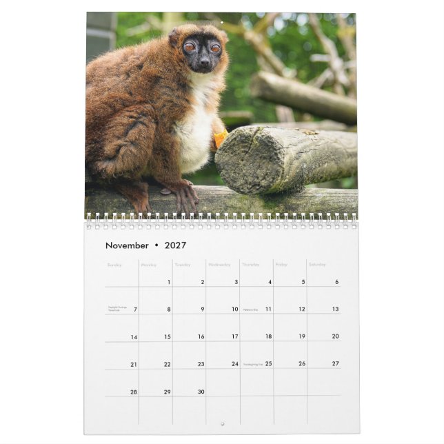 Calendario de Lemur 2025 (Nov 2027)