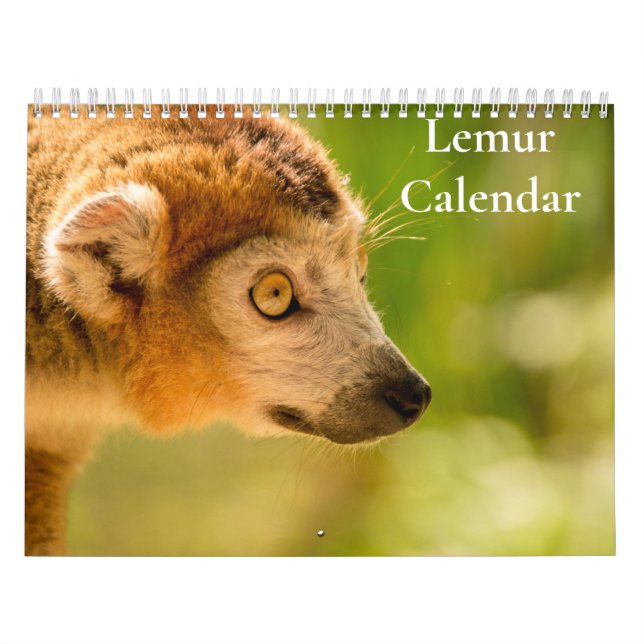 Calendario de lémures 2027 (Tapa)