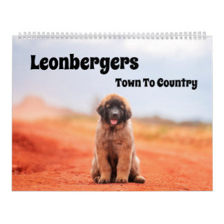 Calendario De Leonbergers De Ciudad A País