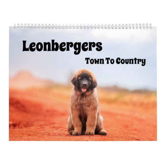 Calendario De Leonbergers De Ciudad A País (Tapa)