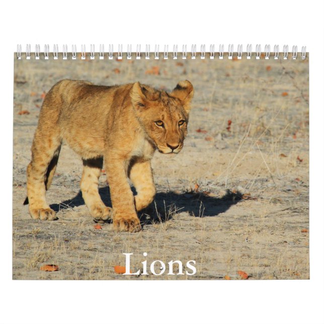 Calendario de leones (Tapa)