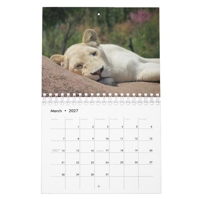 Calendario de leones (Mar 2027)
