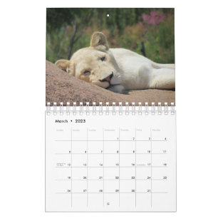 Calendario de leones