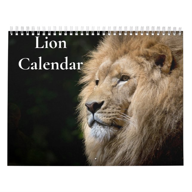 Calendario de Leones 2027 (Tapa)