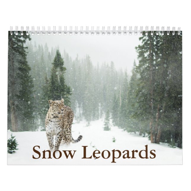 Calendario de leopardo de la nieve (Tapa)