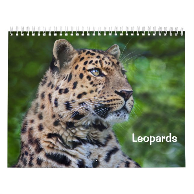 Calendario de leopardos (Tapa)