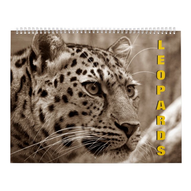 Calendario de leopardos (Tapa)
