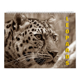 Calendario de leopardos