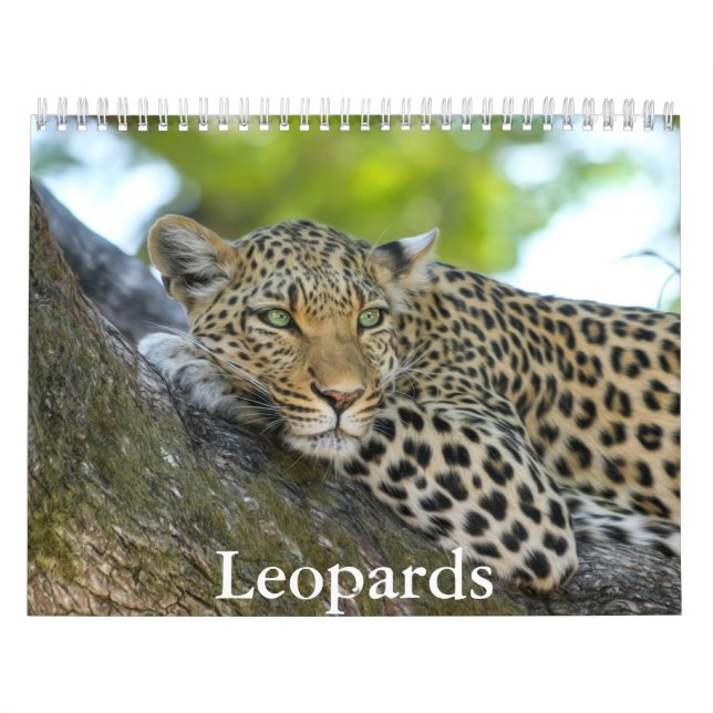 Calendario de leopardos (Tapa)